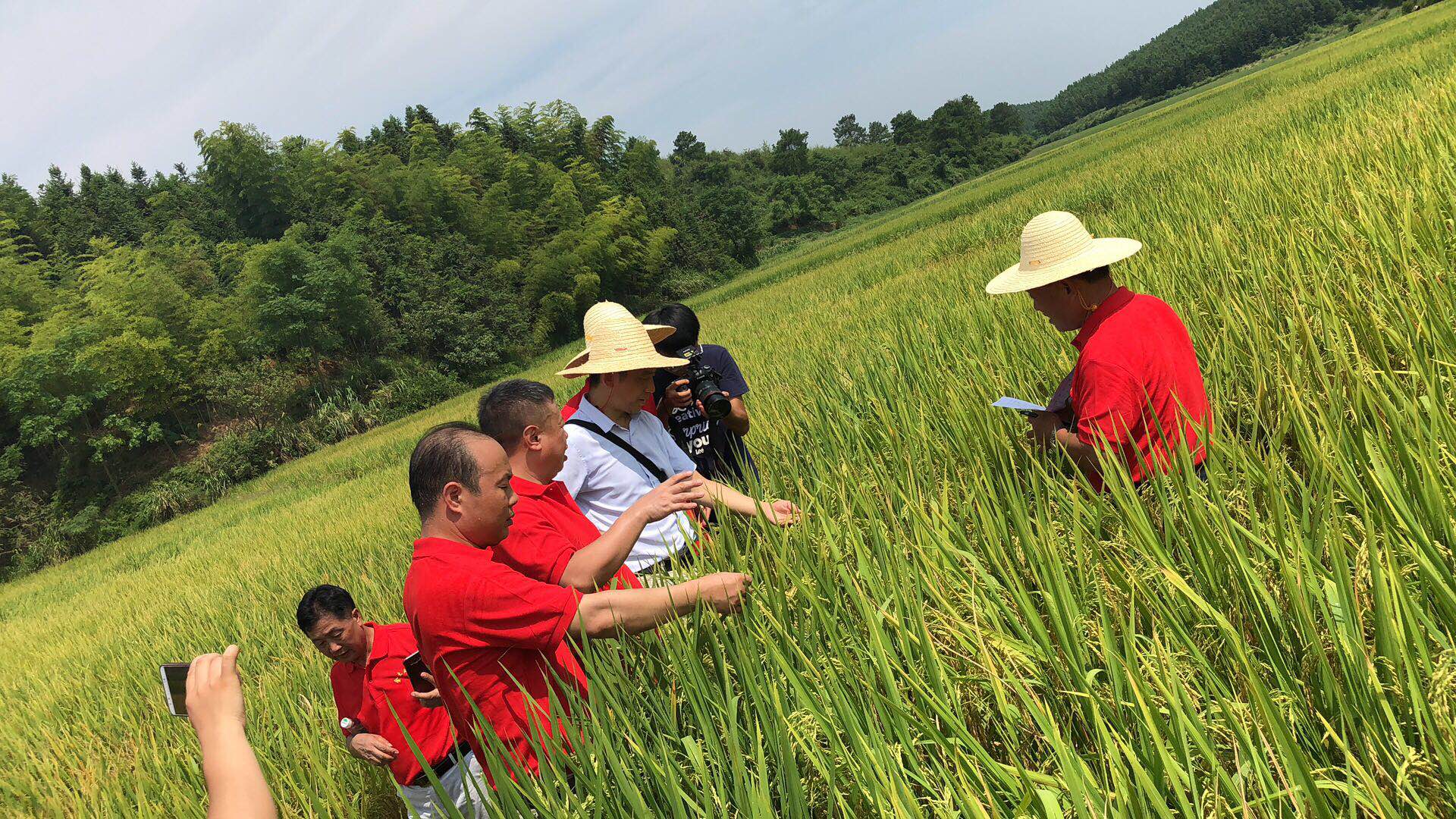 郴州市金土地化肥有限公司,湖南配方肥定點加工,林木肥銷售,有機肥質量